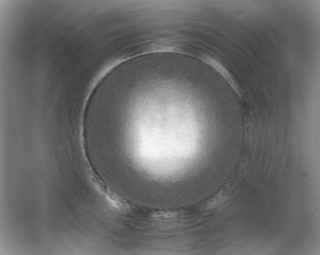 X0000064731051200602101145