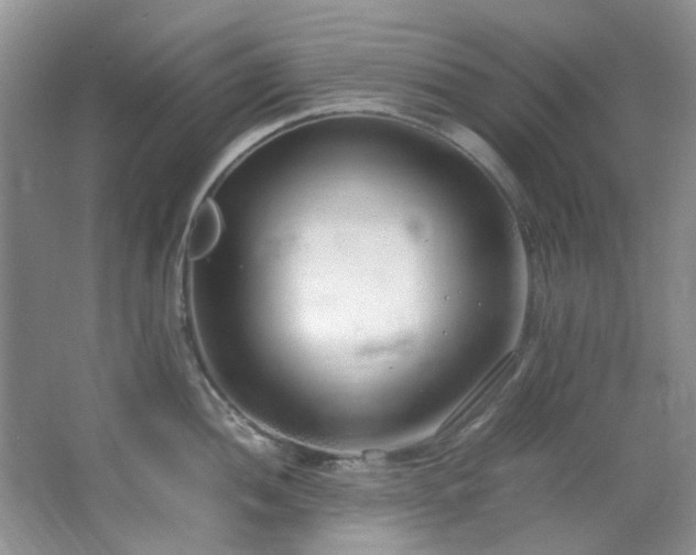 X0000064731052200602101145