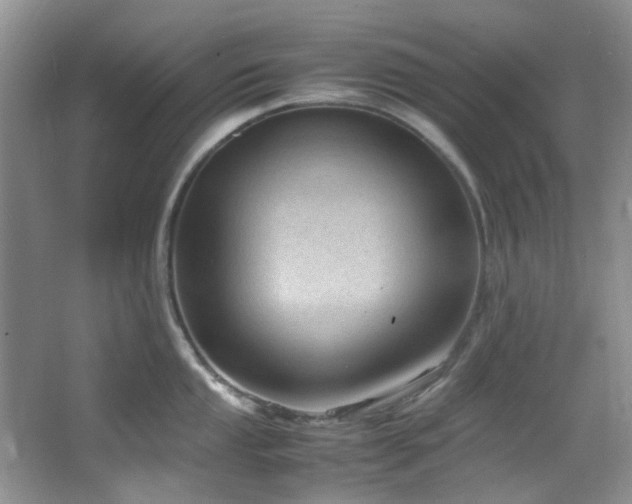 X0000064731053200602101145