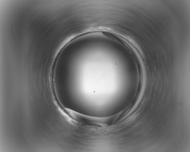 X0000064731054200602101145