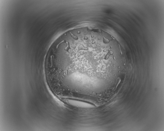 X0000064731055200602101145