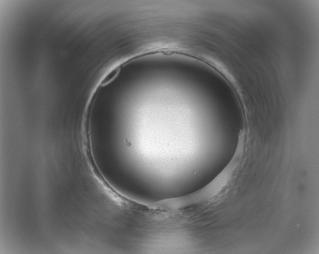 X0000064731056200602101145