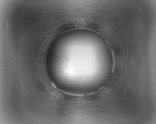 X0000064731057200602101144