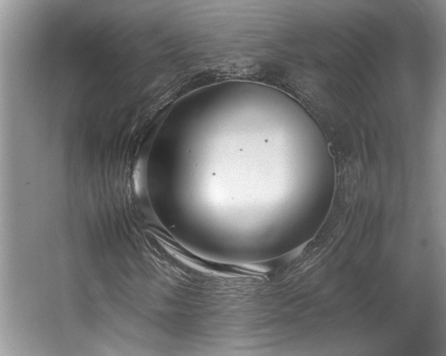 X0000064731058200602101144