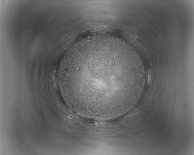 X0000064731059200602101144