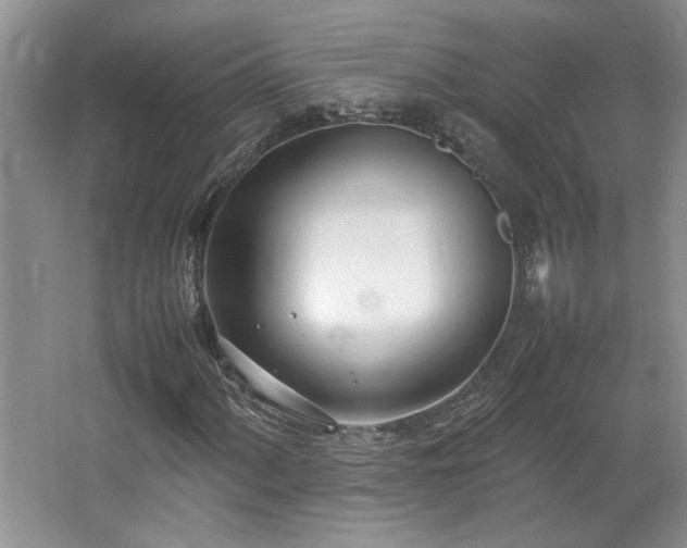 X0000064731060200602101144