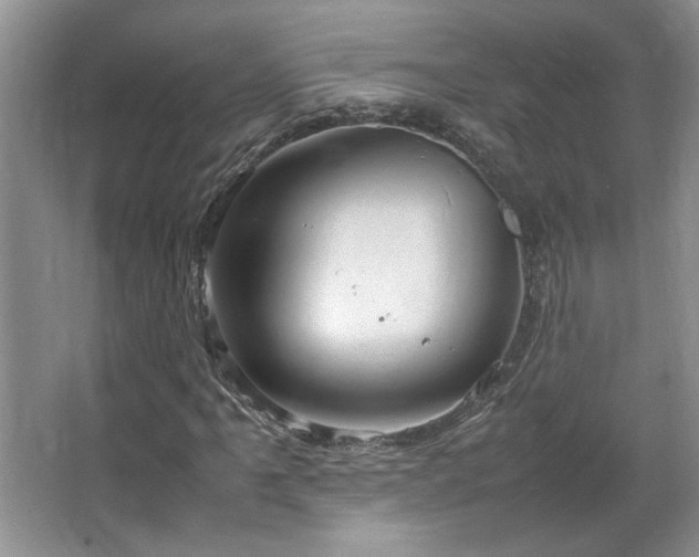 X0000064731061200602101144