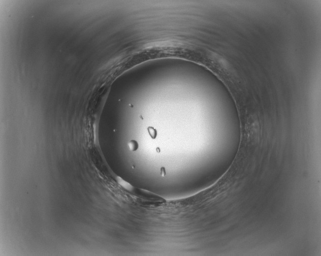 X0000064731062200602101144