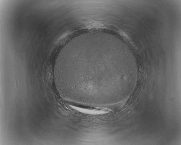 X0000064731063200602101144