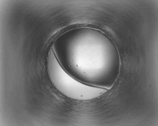 X0000064731064200602101144