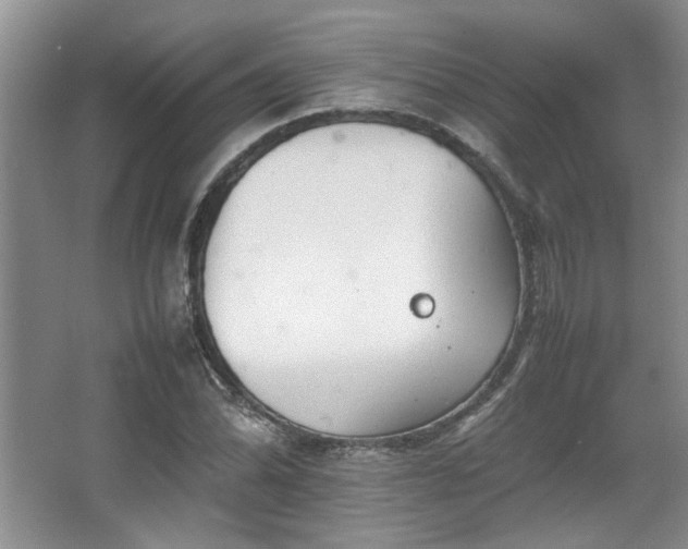 X0000064731070200602101144