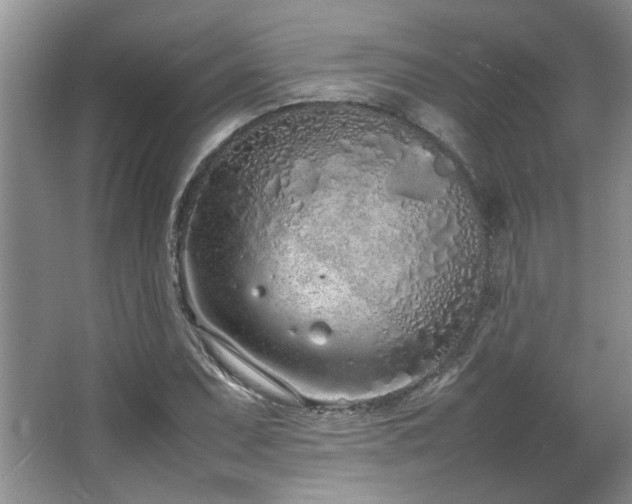 X0000064731071200602101144