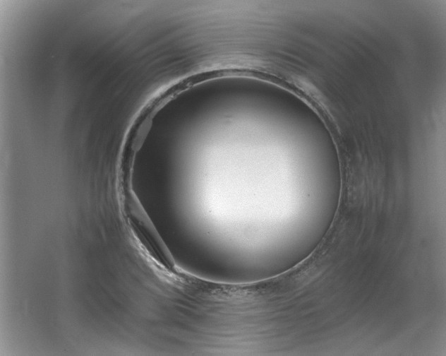 X0000064731072200602101144