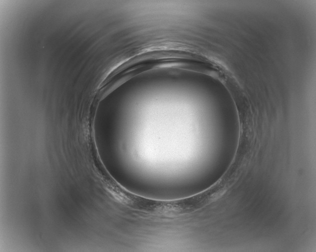 X0000064731073200602101144