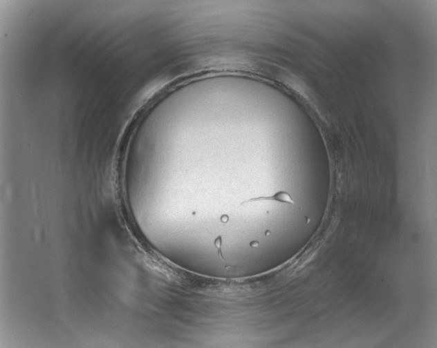 X0000064731074200602101144