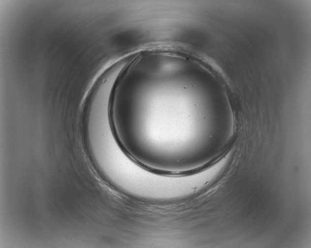 X0000064731075200602101144