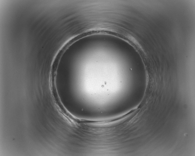 X0000064731076200602101144