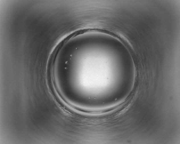 X0000064731077200602101144