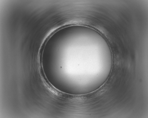 X0000064731078200602101144