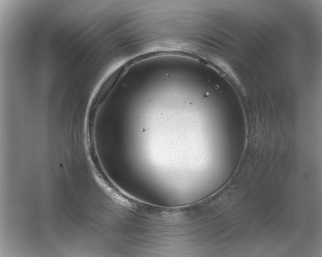 X0000064731080200602101144