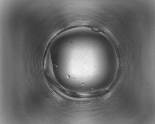 X0000064731081200602101144