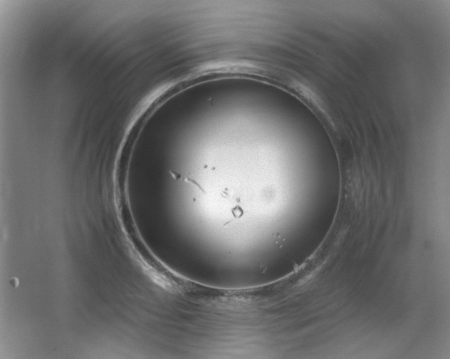 X0000064731082200602101144