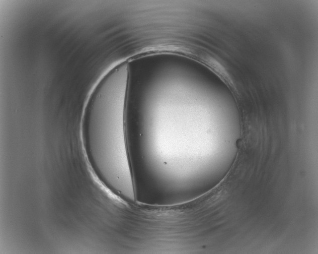 X0000064731084200602101143