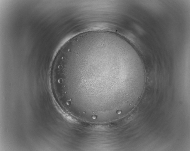 X0000064731086200602101143