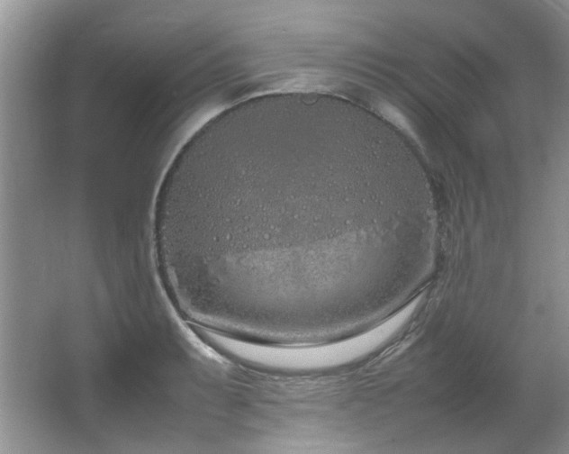 X0000064731087200602101143