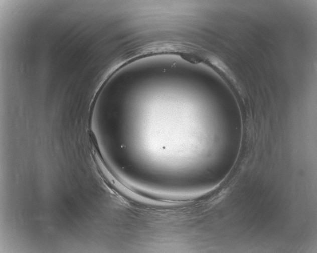 X0000064731089200602101143