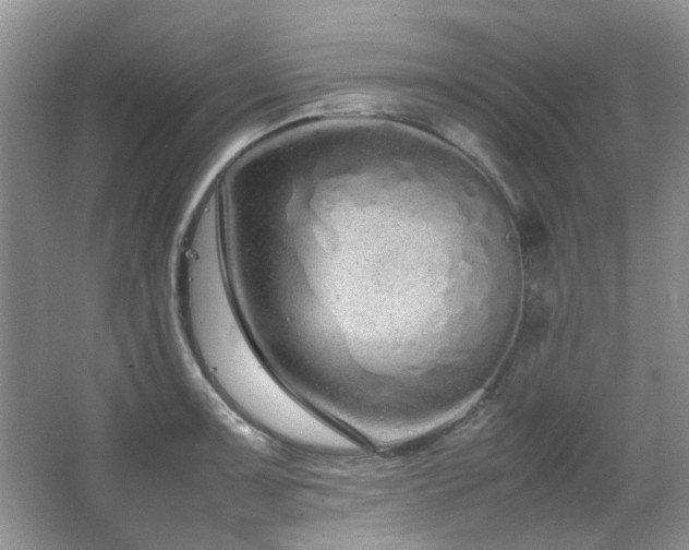 X0000064731091200602101143