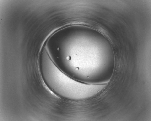 X0000064731092200602101143