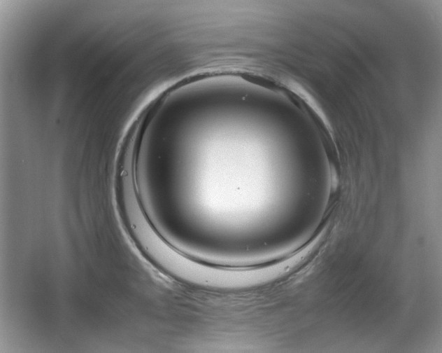 X0000064731093200602101143