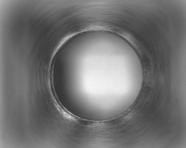 X0000064731094200602101143