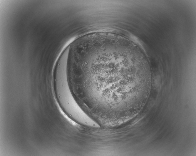 X0000064731095200602101143