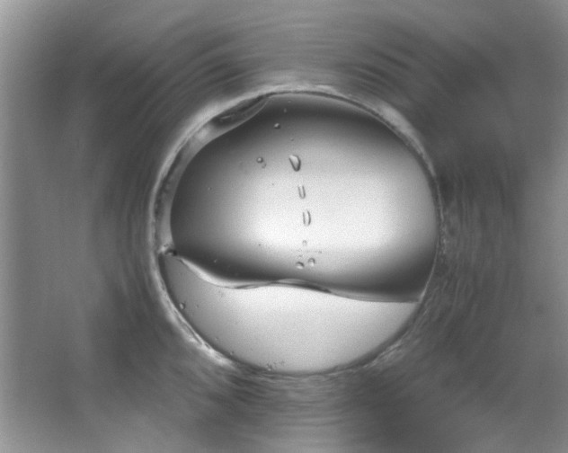 X0000064731096200602101143