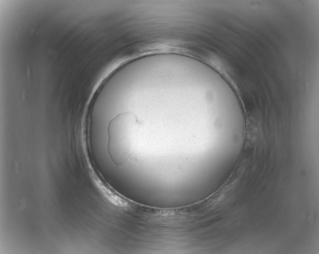 X0000064731098200602101143