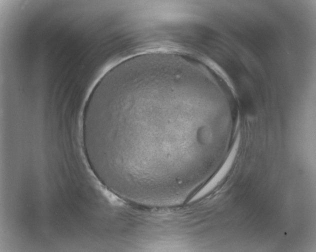 X0000064731099200602101143