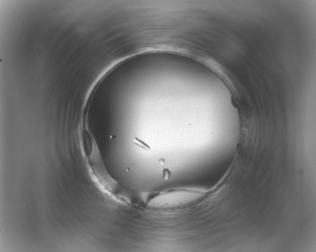 X0000064731100200602101143