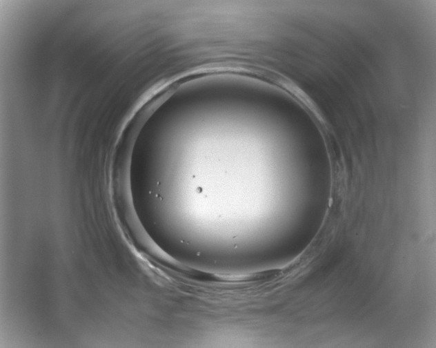 X0000064731101200602101143