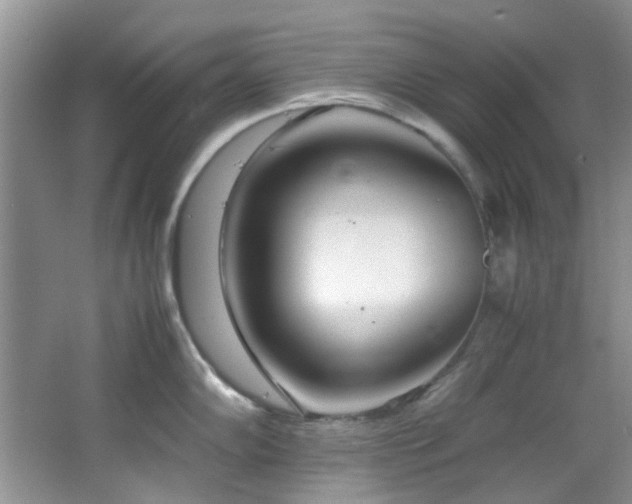 X0000064731102200602101143