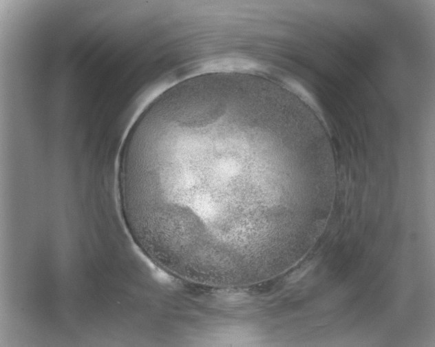 X0000064731103200602101143