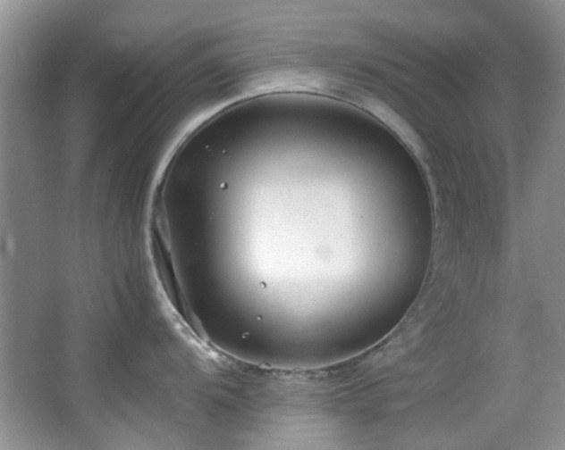 X0000064731104200602101143