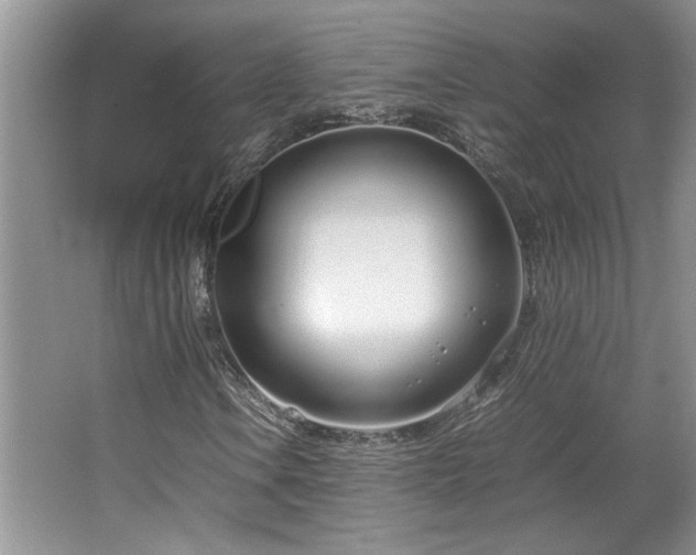 X0000064731106200602101142