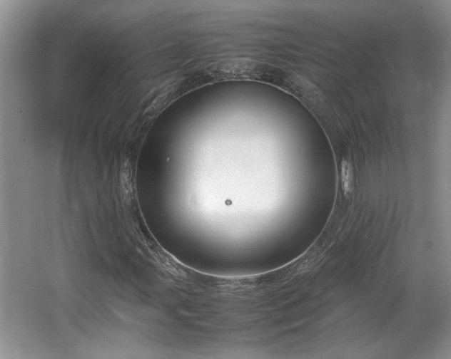 X0000064731107200602101142