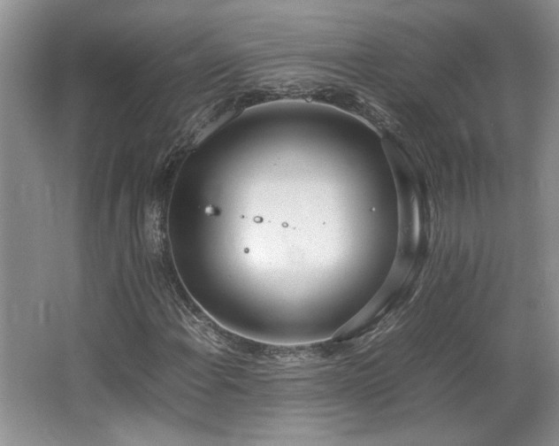 X0000064731108200602101142