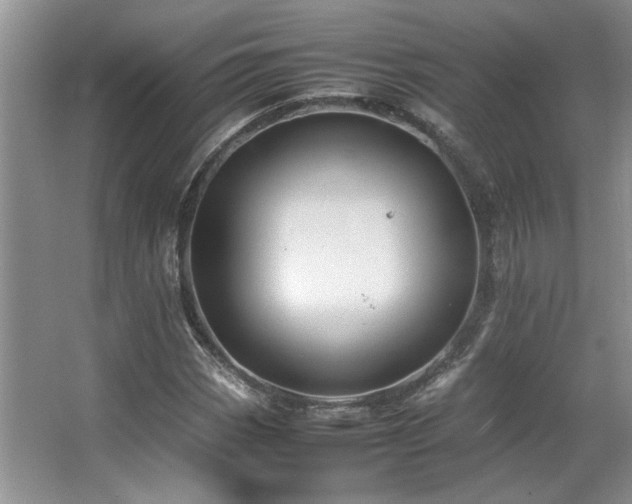 X0000064731113200602101142