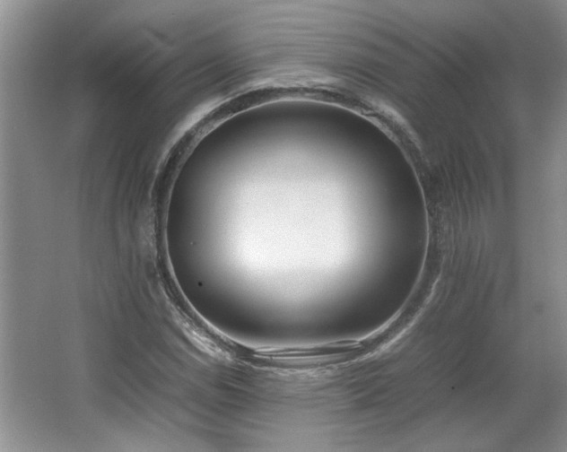X0000064731114200602101142