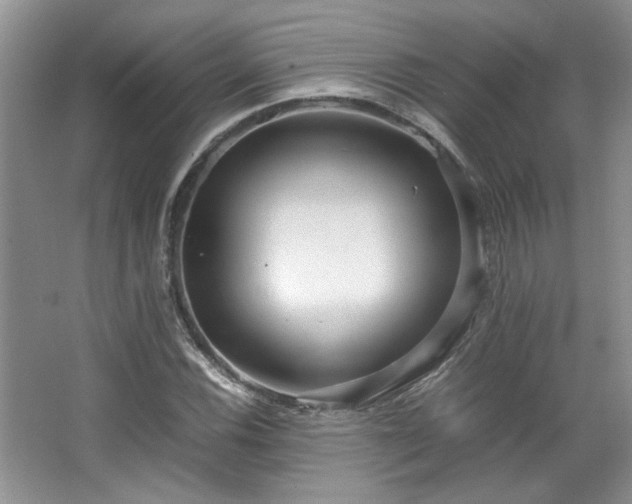 X0000064731116200602101143