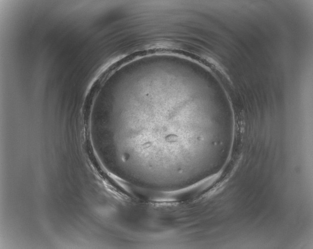 X0000064731117200602101143